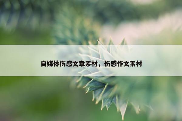 自媒体伤感文章素材，伤感作文素材