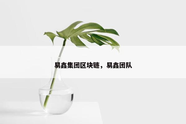 易鑫集团区块链，易鑫团队