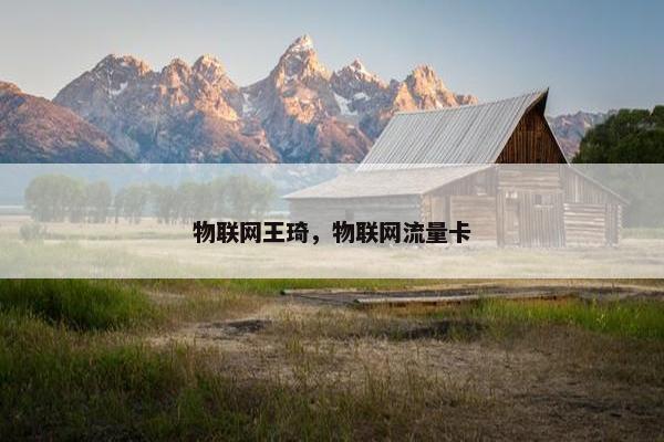 物联网王琦，物联网流量卡