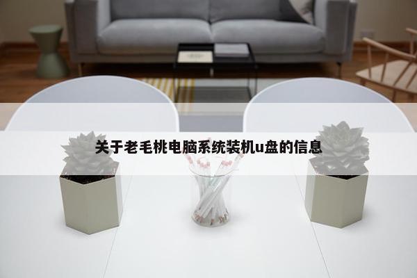 关于老毛桃电脑系统装机u盘的信息