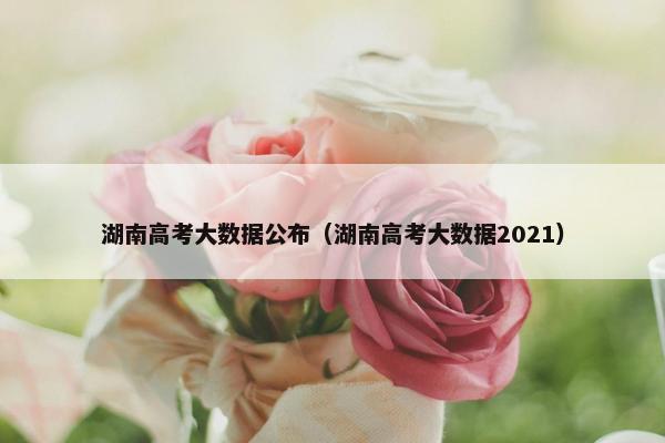 湖南高考大数据公布（湖南高考大数据2021）