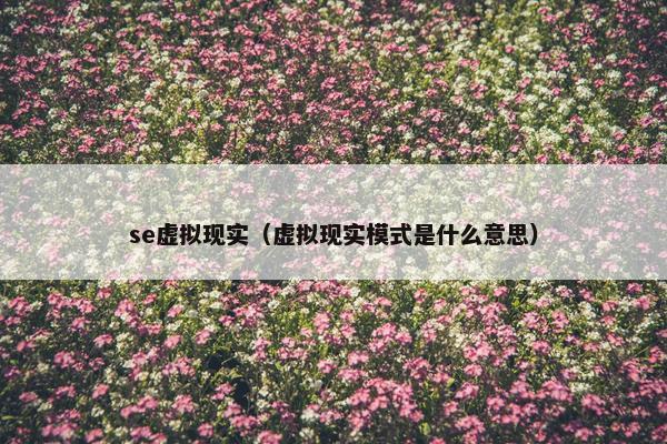 se虚拟现实（虚拟现实模式是什么意思）