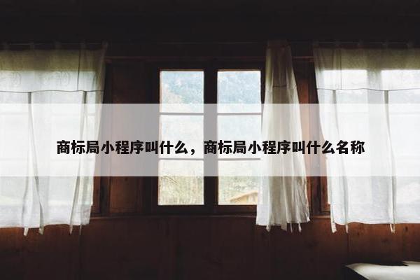 商标局小程序叫什么，商标局小程序叫什么名称