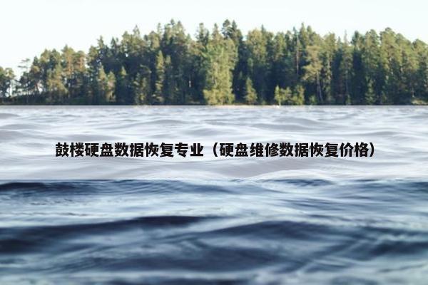 鼓楼硬盘数据恢复专业（硬盘维修数据恢复价格）