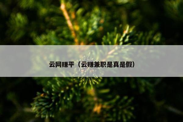 云网赚平（云赚兼职是真是假）