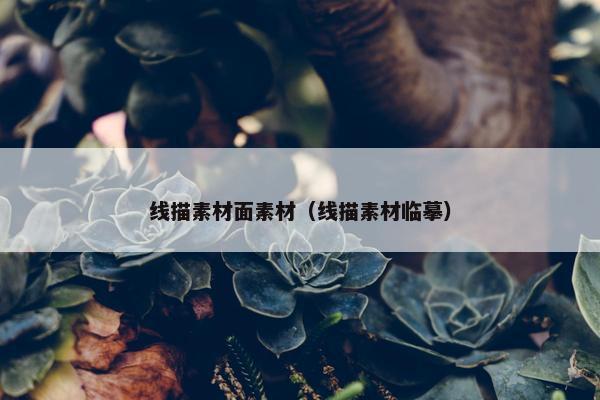 线描素材面素材（线描素材临摹）