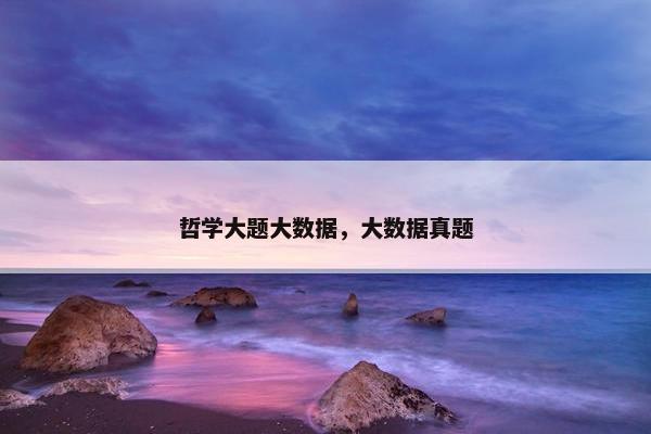 哲学大题大数据，大数据真题
