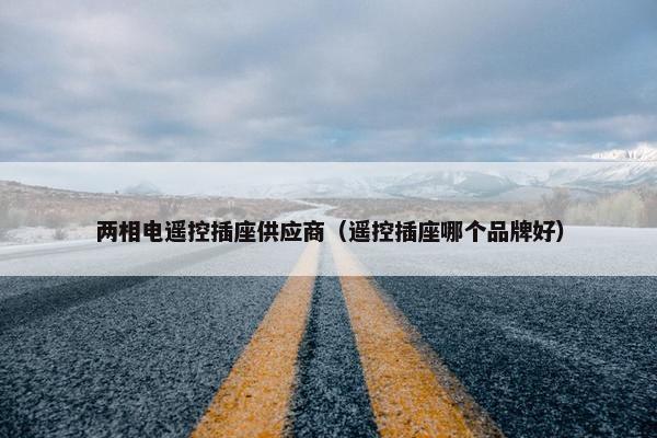 两相电遥控插座供应商（遥控插座哪个品牌好）