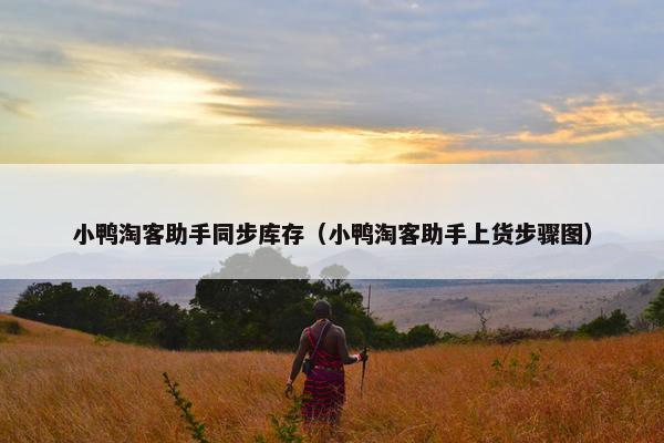 小鸭淘客助手同步库存（小鸭淘客助手上货步骤图）