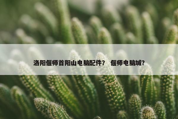 洛阳偃师首阳山电脑配件？ 偃师电脑城？