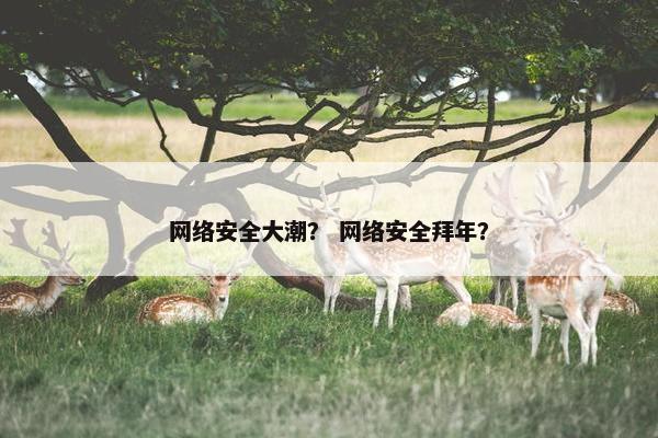 网络安全大潮？ 网络安全拜年？