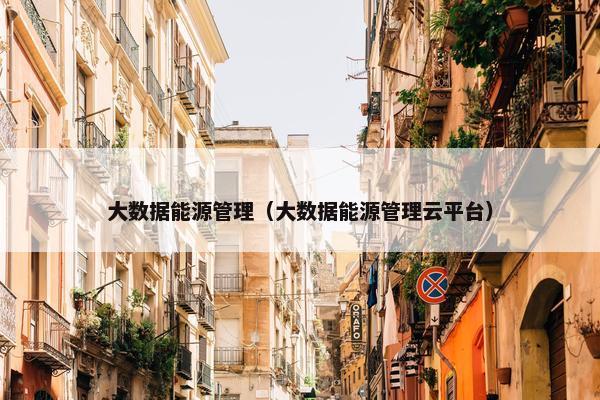 大数据能源管理（大数据能源管理云平台）