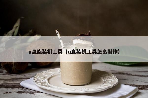 u盘能装机工具（u盘装机工具怎么制作）