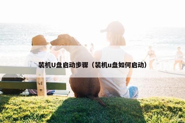 装机U盘启动步骤（装机u盘如何启动）
