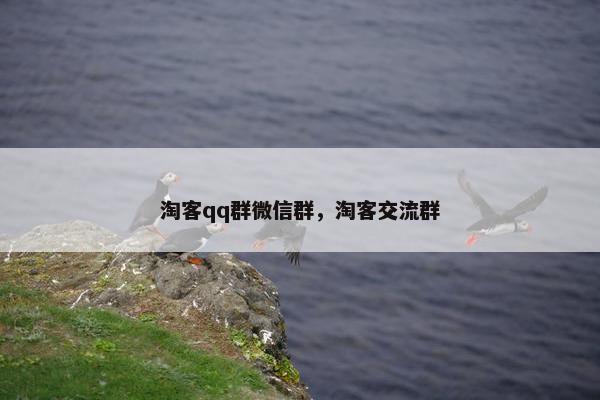 淘客qq群微信群，淘客交流群
