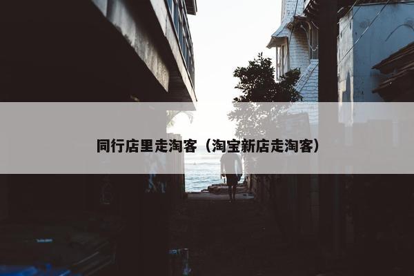 同行店里走淘客（淘宝新店走淘客）