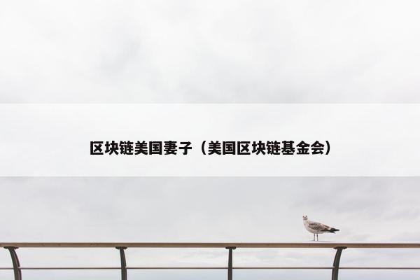 区块链美国妻子（美国区块链基金会）