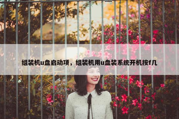 组装机u盘启动项，组装机用u盘装系统开机按f几