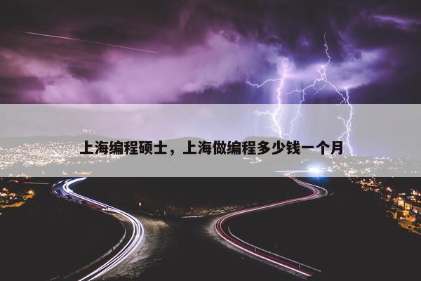 上海编程硕士，上海做编程多少钱一个月