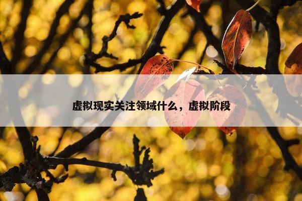 虚拟现实关注领域什么，虚拟阶段