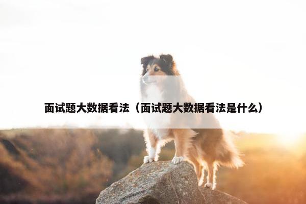 面试题大数据看法（面试题大数据看法是什么）