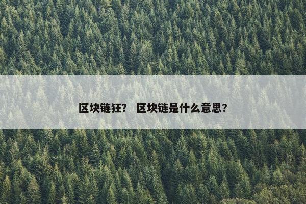 区块链狂？ 区块链是什么意思？