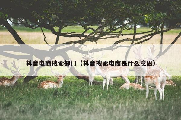 抖音电商搜索部门（抖音搜索电商是什么意思）