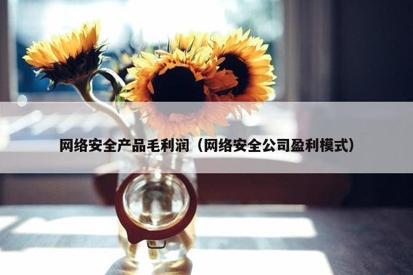 网络安全产品毛利润（网络安全公司盈利模式）