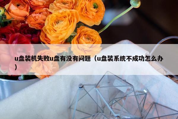 u盘装机失败u盘有没有问题（u盘装系统不成功怎么办）