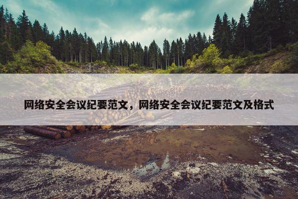 网络安全会议纪要范文，网络安全会议纪要范文及格式