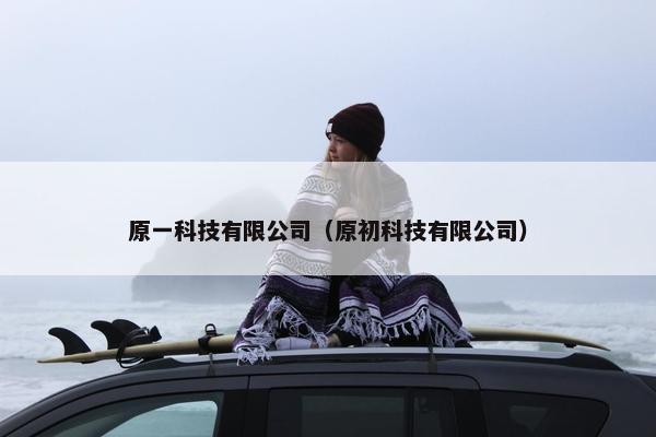 原一科技有限公司（原初科技有限公司）