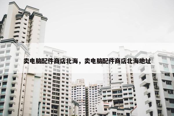 卖电脑配件商店北海，卖电脑配件商店北海地址