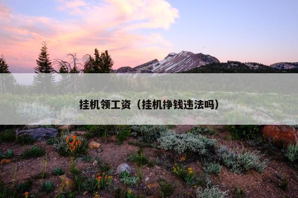 挂机领工资（挂机挣钱违法吗）