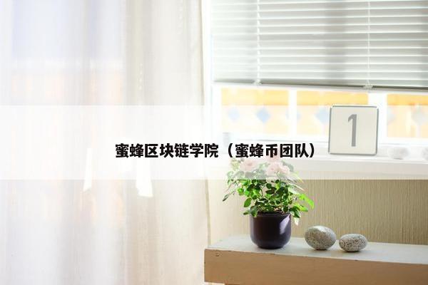 蜜蜂区块链学院（蜜蜂币团队）