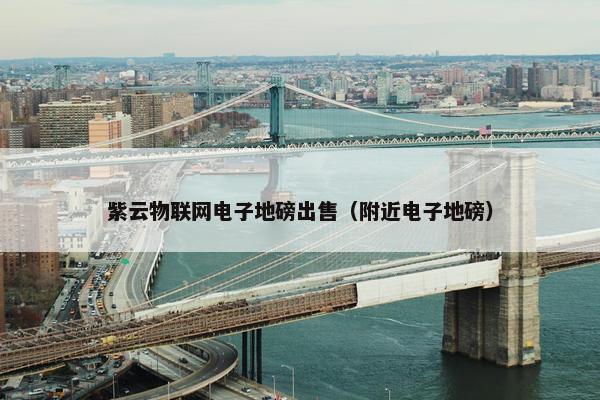 紫云物联网电子地磅出售（附近电子地磅）