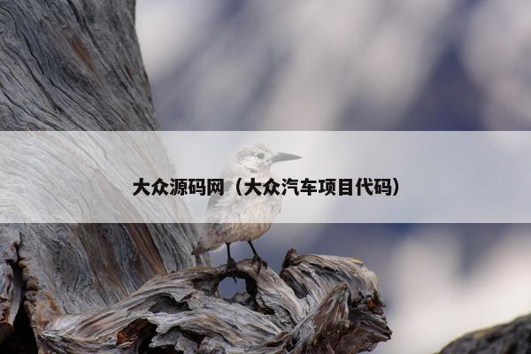 大众源码网（大众汽车项目代码）