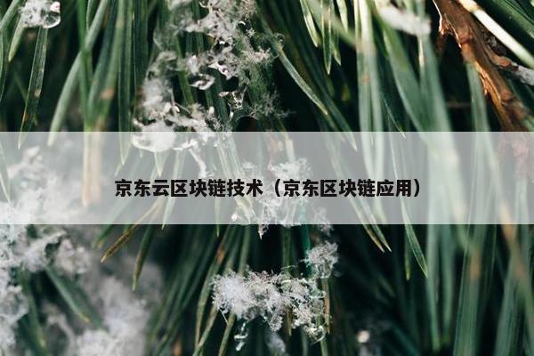 京东云区块链技术（京东区块链应用）
