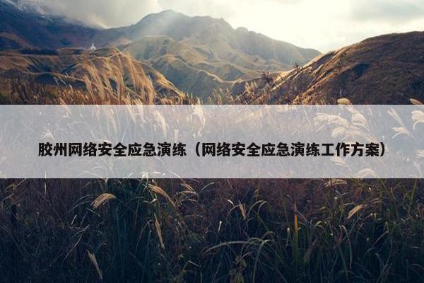 胶州网络安全应急演练（网络安全应急演练工作方案）