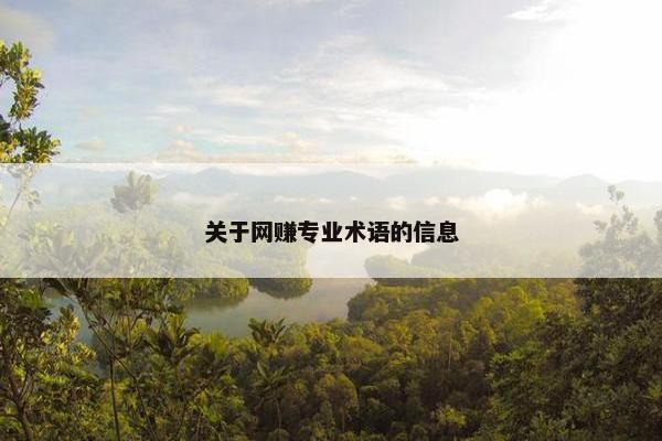 关于网赚专业术语的信息