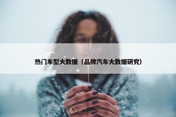 热门车型大数据（品牌汽车大数据研究）