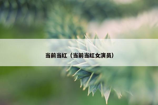 当前当红（当前当红女演员）