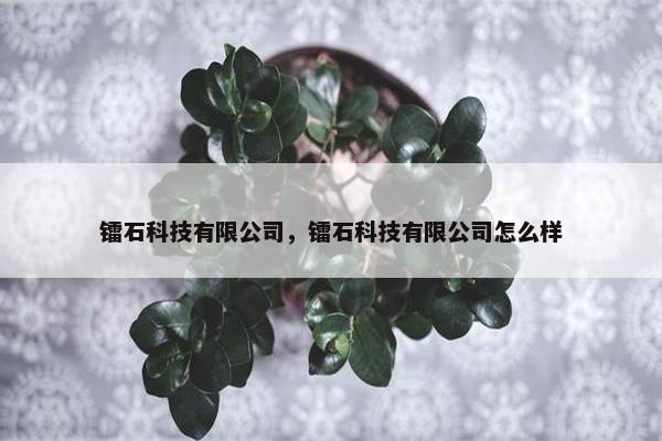 镭石科技有限公司，镭石科技有限公司怎么样