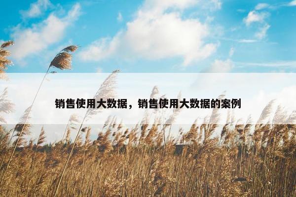 销售使用大数据，销售使用大数据的案例