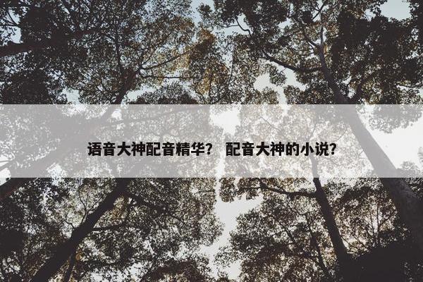 语音大神配音精华？ 配音大神的小说？