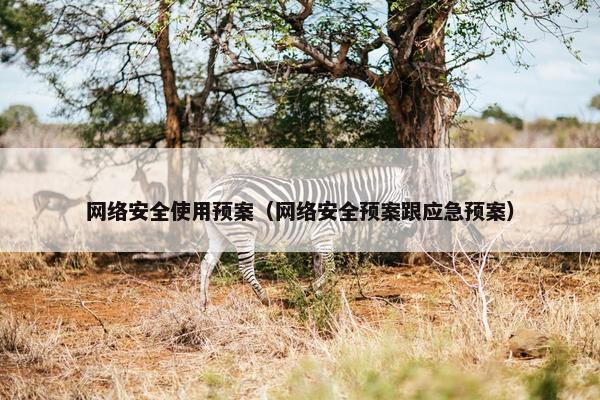 网络安全使用预案（网络安全预案跟应急预案）