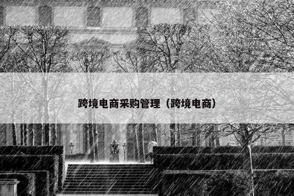 跨境电商采购管理（跨境电商）