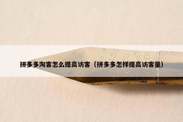 拼多多淘客怎么提高访客（拼多多怎样提高访客量）
