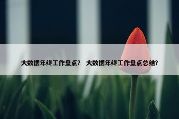 大数据年终工作盘点？ 大数据年终工作盘点总结？