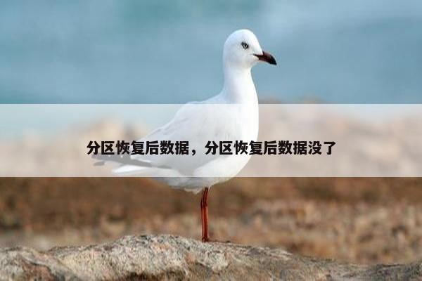 分区恢复后数据，分区恢复后数据没了