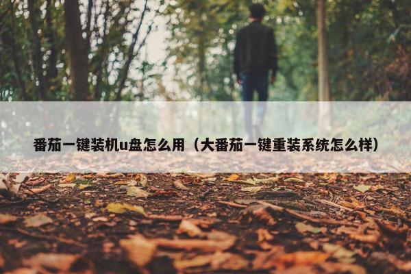 番茄一键装机u盘怎么用（大番茄一键重装系统怎么样）